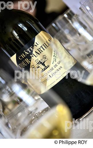 CHATEAU LATOUR-MARTILLAC, VINS  DE  PESSAC-LEOGNAN, VIGNOBLE DE BORDEAUX, GIRONDE. (33V46211.jpg)