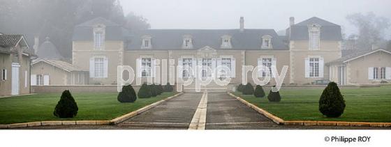 CHATEAU DE ROUILLAC, VINS  DES GRAVES  DE  PESSAC-LEOGNAN, VIGNOBLE DE BORDEAUX, GIRONDE. (33V46217.jpg)