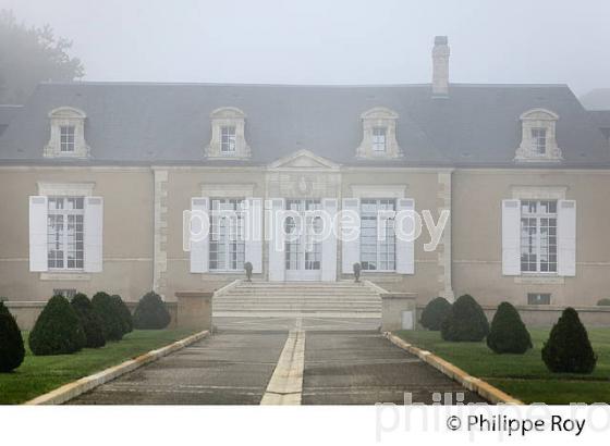 CHATEAU DE ROUILLAC, VINS  DES GRAVES  DE  PESSAC-LEOGNAN, VIGNOBLE DE BORDEAUX, GIRONDE. (33V46218.jpg)