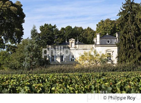 VIGNE ET CHATEAU MAZEYRES, AOC POMEROL, VIGNOBLE DE BORDEAUX. (33V46227.jpg)