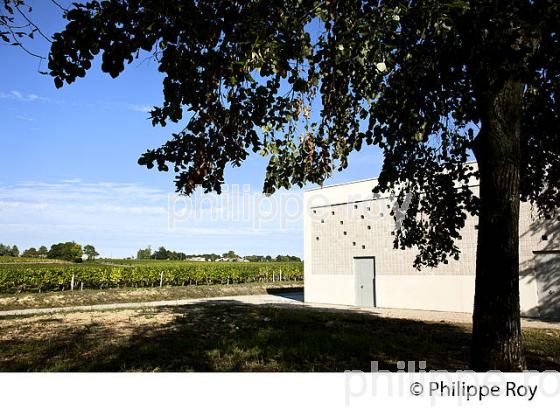CHATEAU MONCETS, AOC LALANDE DE POMEROL, VINS DE BORDEAUX, GIRONDE. (33V46402.jpg)