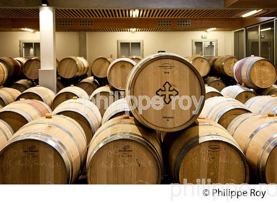 CHAI A BARRIQUES DU CHATEAU MONCETS, AOC LALANDE DE POMEROL, VINS DE BORDEAUX, GIRONDE. (33V46516.jpg)