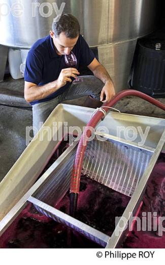 VINIFICATION, REMONTAGE  MOUT DE VENDANGE ROUGE, CHATEAU LA LOUBIERE, VINS DE BORDEAUX. (33V46831.jpg)