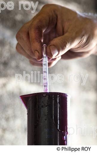 VINIFICATION, MESURE DE DENSITE,  VENDANGE ROUGE, VINS DE BORDEAUX. (33V46833.jpg)