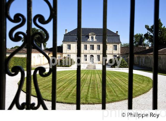 CHATEAU COUHINS, VIGNOBLE  AOC GRAVES DE PESSAC LEOGNAN, LA ROUTE DES VINS DE BORDEAUX, GIRONDE. (33V47108.jpg)