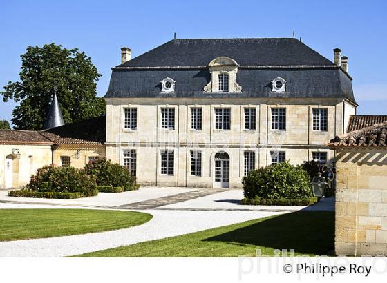 CHATEAU COUHINS, VIGNOBLE  AOC GRAVES DE PESSAC LEOGNAN, LA ROUTE DES VINS DE BORDEAUX, GIRONDE. (33V47111.jpg)