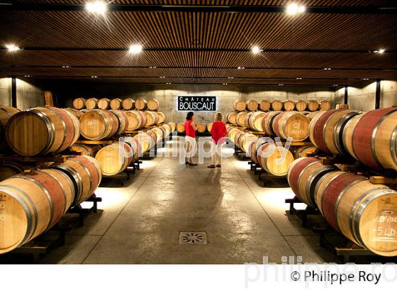 CHATEAU BOUSCAUT, VIGNOBLE  AOC GRAVES DE PESSAC LEOGNAN, LA ROUTE DES VINS DE BORDEAUX, GIRONDE. (33V47133.jpg)