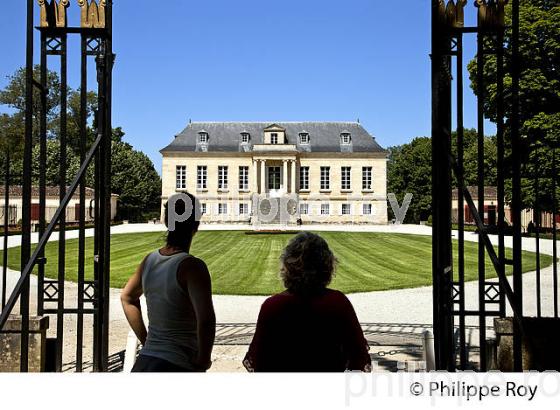 CHATEAU LA LOUVIERE, VIGNOBLE  AOC GRAVES DE PESSAC LEOGNAN, LA ROUTE DES VINS DE BORDEAUX, GIRONDE. (33V47206.jpg)