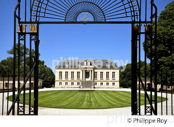 CHATEAU LA LOUVIERE, VIGNOBLE  AOC GRAVES DE PESSAC LEOGNAN, LA ROUTE DES VINS DE BORDEAUX, GIRONDE. (33V47208.jpg)