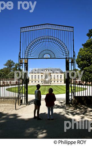 CHATEAU LA LOUVIERE, VIGNOBLE  AOC GRAVES DE PESSAC LEOGNAN, LA ROUTE DES VINS DE BORDEAUX, GIRONDE. (33V47209.jpg)