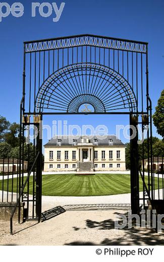 CHATEAU LA LOUVIERE, VIGNOBLE  AOC GRAVES DE PESSAC LEOGNAN, LA ROUTE DES VINS DE BORDEAUX, GIRONDE. (33V47210.jpg)