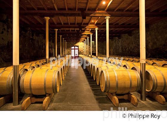 CHAI BARRIQUES, CHATEAU BEYCHEVELLE, SAINT JULIEN, MEDOC, VINS DE BORDEAUX. (33V47307.jpg)