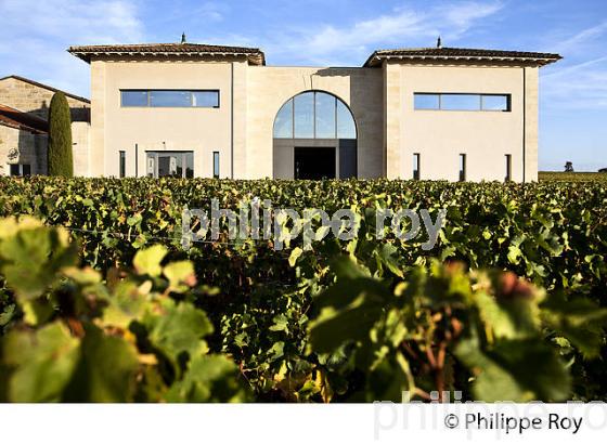 VIGNOBLE ET CUVIER DU CHATEAU LA CONSEILLANTE, AOC, VINS DE POMEROL, GIRONDE. (33V47429.jpg)