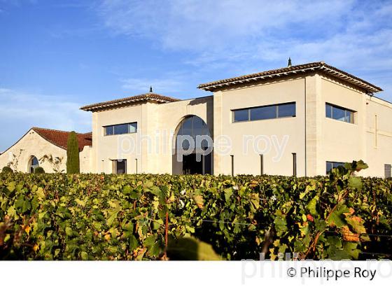 VIGNOBLE ET CUVIER DU CHATEAU LA CONSEILLANTE, AOC, VINS DE POMEROL, GIRONDE. (33V47430.jpg)