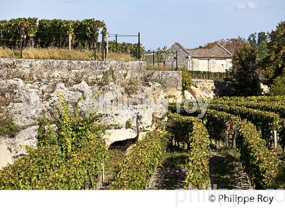 VIGNOBLE,  SUR ROCHER CALCAIRE ET LA CHAPELLE   DU CHATEAU AUONE,  AOC SAINT-EMILION, GIRONDE. (33V47539.jpg)