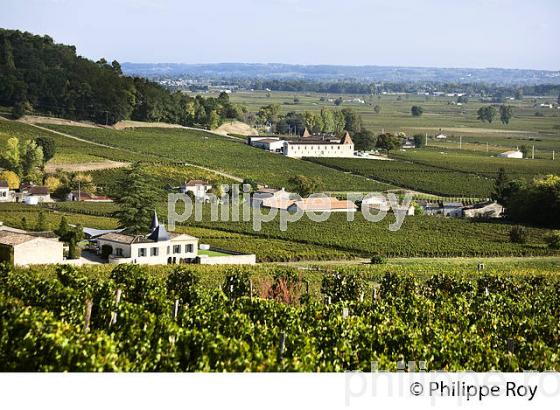 PAYSAGE VITICOLE, ET COTE , AOC SAINT-EMILION, SAINT LAURENT DES COMBES, GIRONDE. (33V47612.jpg)
