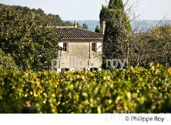 MAISON GIRONDINE ET COTEAU DE VIGNOBLE ,  AOC SAINT-EMILION, SAINT LAURENT DES COMBES, GIRONDE. (33V47613.jpg)