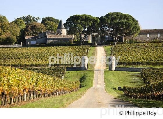 VIGNOBLE ET CHATEAU SAINT GEORGES ,  AOC SAINT GEORGES- SAINT-EMILION, GIRONDE. (33V47706.jpg)