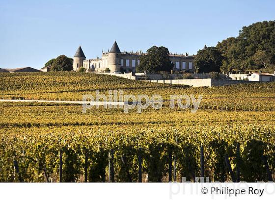 VIGNOBLE ET CHATEAU SAINT GEORGES ,  AOC SAINT GEORGES- SAINT-EMILION, GIRONDE. (33V47708.jpg)