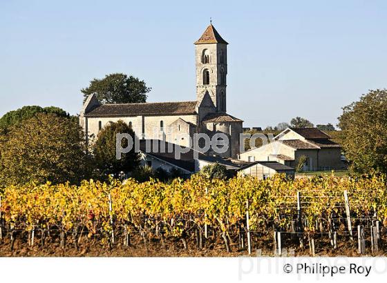 EGLISE ROMANE  SAINT GEORGES DE MONTAGNE  ET VIGNOBLE  ,  AOC SAINT GEORGES- AINT-EMILION, GIRONDE. (33V47712.jpg)