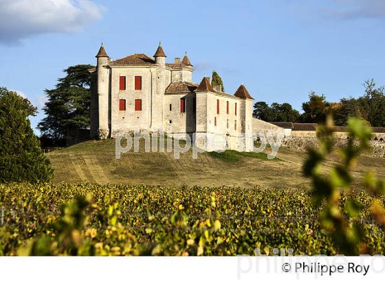 VIGNOBLE ET CHATEAU DE MONBADON ,  AOC PUISSEGUIN- SAINT-EMILION, GIRONDE. (33V47727.jpg)