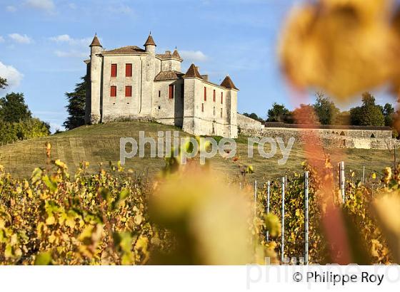 VIGNOBLE ET CHATEAU DE MONBADON ,  AOC PUISSEGUIN- SAINT-EMILION, GIRONDE. (33V47729.jpg)