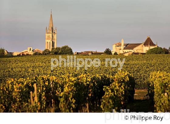 PAYSAGE VITICOLE ,ET VILLAGE DE SAINT EMILION,  AOC  SAINT-EMILION, GIRONDE. (33V47805.jpg)