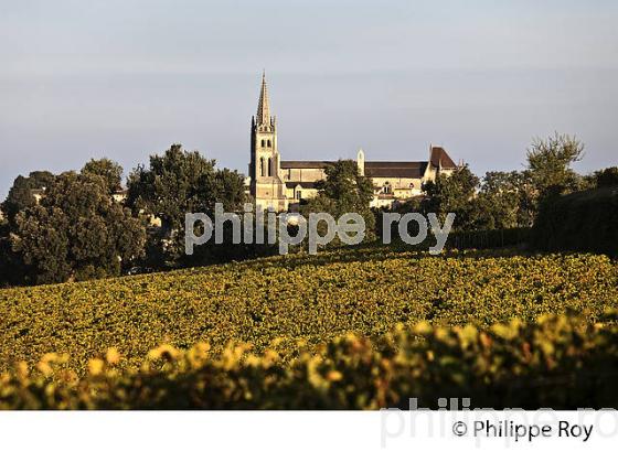 PAYSAGE VITICOLE ,ET VILLAGE DE SAINT EMILION,  AOC  SAINT-EMILION, GIRONDE. (33V47806.jpg)