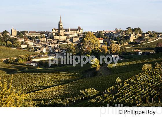 PAYSAGE VITICOLE ,ET VILLAGE DE SAINT EMILION,  AOC  SAINT-EMILION, GIRONDE. (33V47812.jpg)