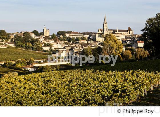 PAYSAGE VITICOLE ,ET VILLAGE DE SAINT EMILION,  AOC  SAINT-EMILION, GIRONDE. (33V47813.jpg)
