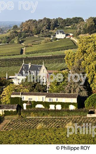 CHATEAU LA GAFFELIERE ET PAYSAGE VITICOLE , DES COTES ,  AOC  SAINT-EMILION, GIRONDE. (33V47816.jpg)