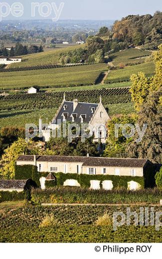 CHATEAU LA GAFFELIERE ET PAYSAGE VITICOLE , DES COTES ,  AOC  SAINT-EMILION, GIRONDE. (33V47817.jpg)