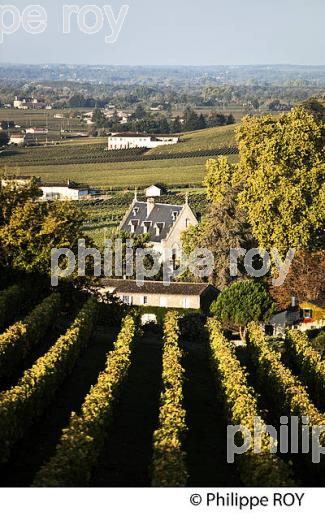 CHATEAU LA GAFFELIERE ET PAYSAGE VITICOLE , DES COTES ,  AOC  SAINT-EMILION, GIRONDE. (33V47818.jpg)