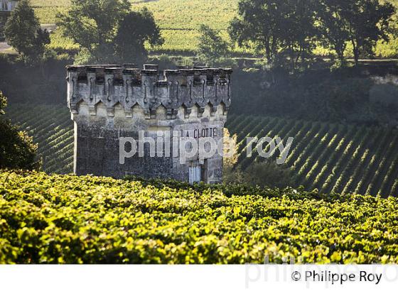 VIGNE ET TOUR DU CHATEAU LA CLOTTE, VILLAGE DE SAINT-EMILION, GIRONDE. (33V47830.jpg)