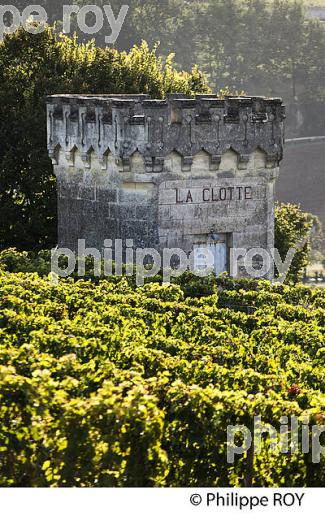 VIGNE ET TOUR DU CHATEAU LA CLOTTE, VILLAGE DE SAINT-EMILION, GIRONDE. (33V47831.jpg)