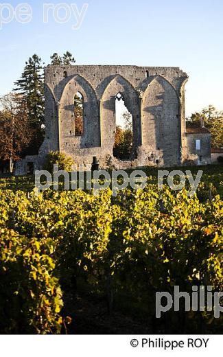 MUR DES  DOMINICAINS, CHATEAU LES GRANDES MURAILLES, VILLAGE DE SAINT-EMILION, GIRONDE. (33V47832.jpg)