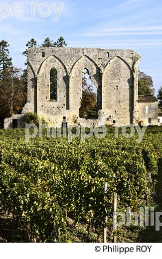 MUR DES  DOMINICAINS, CHATEAU LES GRANDES MURAILLES, VILLAGE DE SAINT-EMILION, GIRONDE. (33V47833.jpg)