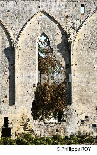 MUR DES  DOMINICAINS, CHATEAU LES GRANDES MURAILLES, VILLAGE DE SAINT-EMILION, GIRONDE. (33V47834.jpg)