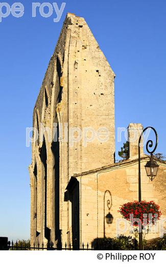 MUR DES  DOMINICAINS, CHATEAU LES GRANDES MURAILLES, VILLAGE DE SAINT-EMILION, GIRONDE. (33V47835.jpg)