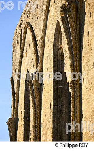 LE MUR DES DOMINICAINS , VESTIGES  DE L' EGLISE GOTHIQUE DU 14 EME SIECLE DU COUVENT DES DOMINICAINS, ET VIGNES DU CHATEU  LES GRANDES MURAILLES,   GRAND CRU CRU CLASSE, AOC SAINT EMILION, VILLAGE  MEDIEVAL ET FORTIFIE  DE SAINT EMILION, GIRONDE, AQUITAINE, NOUVELLE AQUITAINE,  FRANCE. (33V47910.jpg)