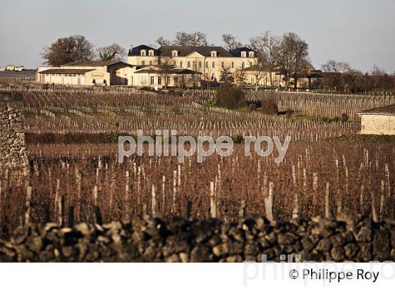 CHATEAU SOUTARD, VIGNOBLE  DE SAINT EMILION, GIRONDE. (33V47919.jpg)