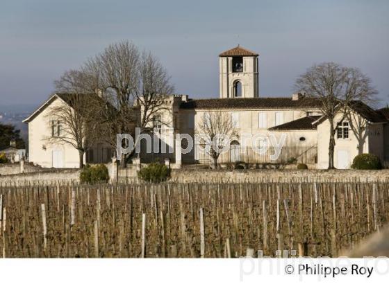 CHATEAU CANON, VIGNOBLE  DE SAINT EMILION, GIRONDE. (33V47920.jpg)