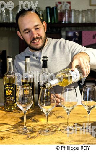 DEGUSTATION , VIN DE SAUTERNE, DOMAINE DE CARBONNIEU, CANOE SUR LE CIRON, OENOTOURISME EN SAUTERNAIS , GIRONDE. (33V47925.jpg)