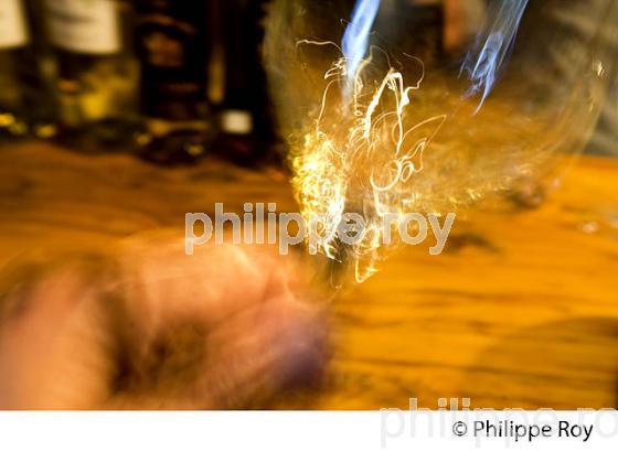 DEGUSTATION , VIN DE SAUTERNE, DOMAINE DE CARBONNIEU, CANOE SUR LE CIRON, OENOTOURISME EN SAUTERNAIS , GIRONDE. (33V47929.jpg)