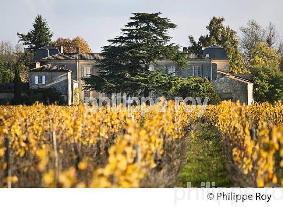 VIGNOBLE ET CHATEAU DE NAIRAC , BARSAC, VIGNOBLE DE BARSAC SAUTERNES , GIRONDE (33V47931.jpg)