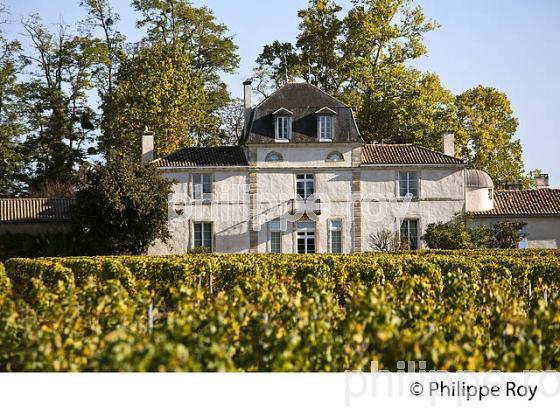 CHATEAU GUITERONDE DU HAYOT, BARSAC, VIGNOBLE DE BARSAC SAUTERNES , GIRONDE (33V47932.jpg)