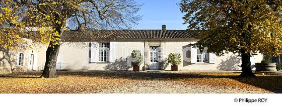 CHATEAU CLIMENS, 1ER GRAND CRU CLASSE,  BARSAC, VIGNOBLE DE BARSAC SAUTERNES , GIRONDE (33V48004.jpg)