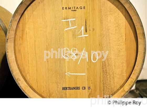 CHAI A  BARRIQUES, CHATEAU CLIMENS, 1ER GRAND CRU CLASSE,  BARSAC, VIGNOBLE DE BARSAC SAUTERNES , GIRONDE (33V48033.jpg)