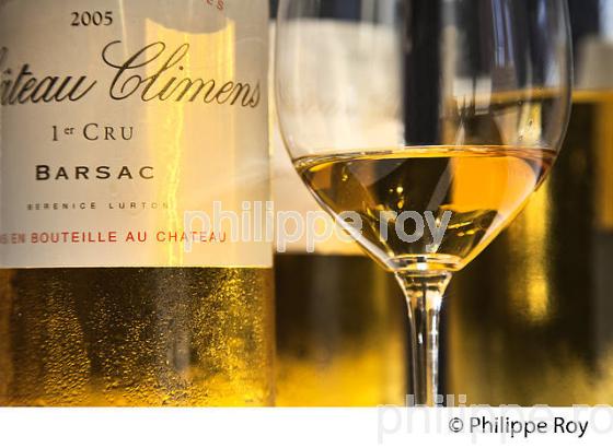 DEGUSTATION VIN LIQUOREUX, CHATEAU CLIMENS, 1ER GRAND CRU CLASSE,  BARSAC, VIGNOBLE DE BARSAC SAUTERNES , GIRONDE (33V48039.jpg)