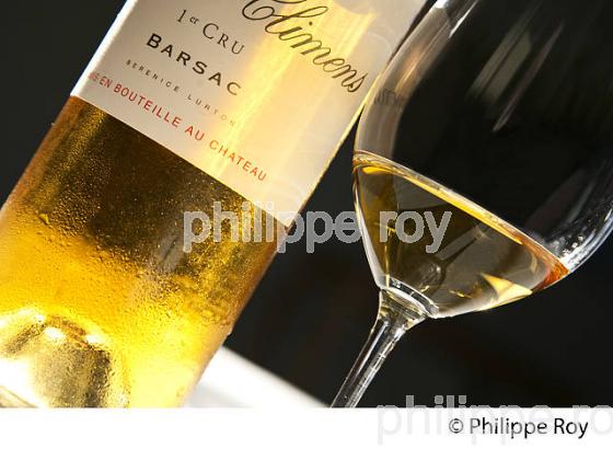 DEGUSTATION VIN LIQUOREUX, CHATEAU CLIMENS, 1ER GRAND CRU CLASSE,  BARSAC, VIGNOBLE DE BARSAC SAUTERNES , GIRONDE (33V48040.jpg)